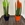 Planta Sansevieria Cylindrica - Imagen 2